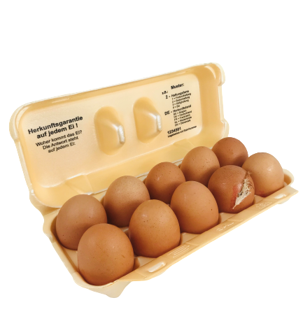 Eierverpackung 10 er creme Eierpappe L-XL 100 St.